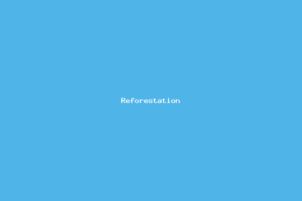 Reforestation Drive