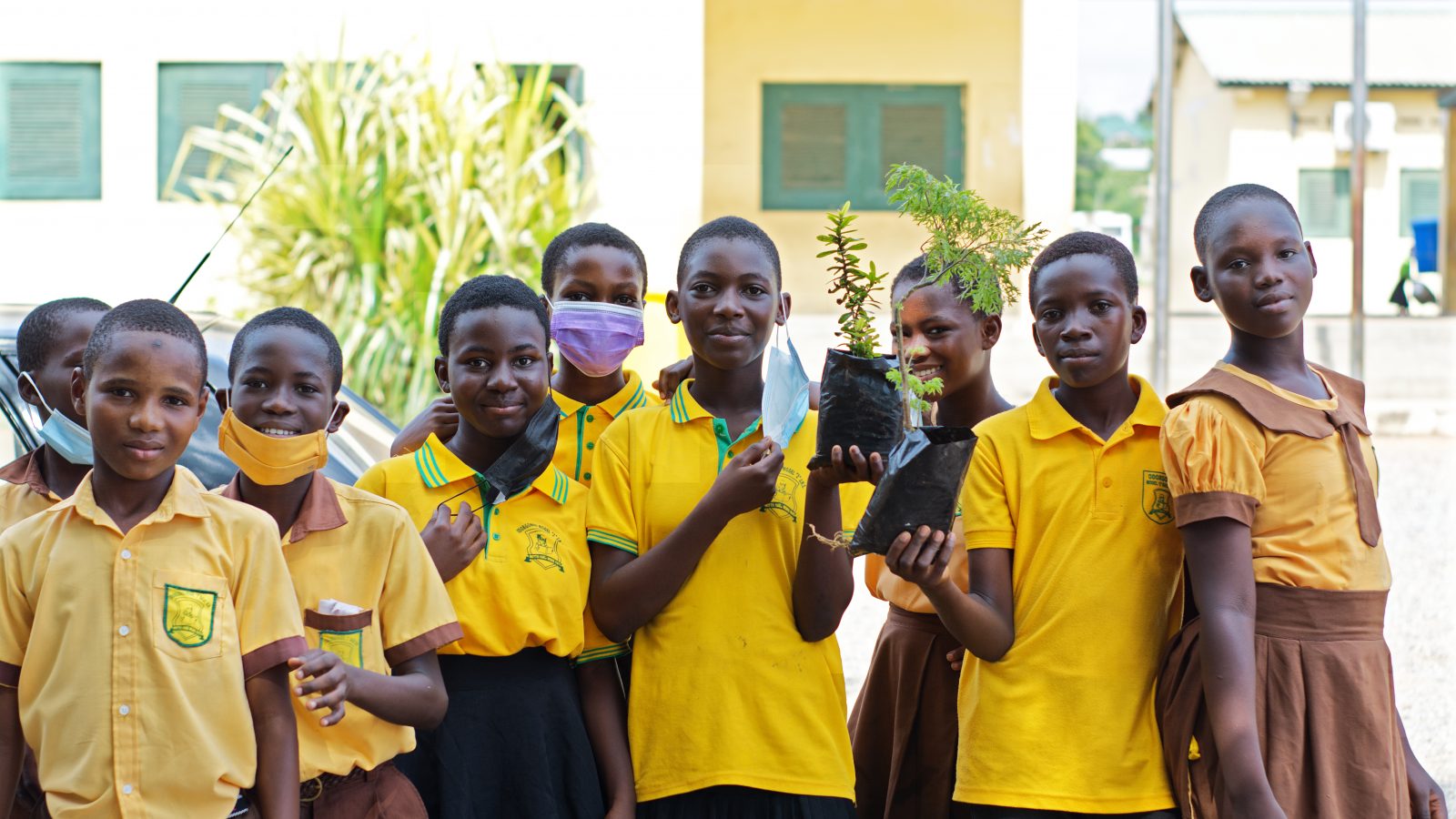 School pupils planting tree saplings